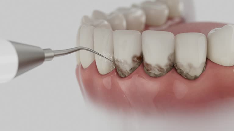 Reliable Dental contractor in Lowes Island, VA by Dentist Open Now